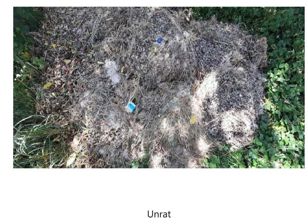 Das Beachfeld auf dem Sportplatz, das zusammen mit dem ersten Kunstrasen im Jahre 2015 erstellt wurde, erstrahlt nach der am 10.06.2023 durchgeführten Reinigung durch die Fa. SandTec GmbH wieder in neuem Glanz.